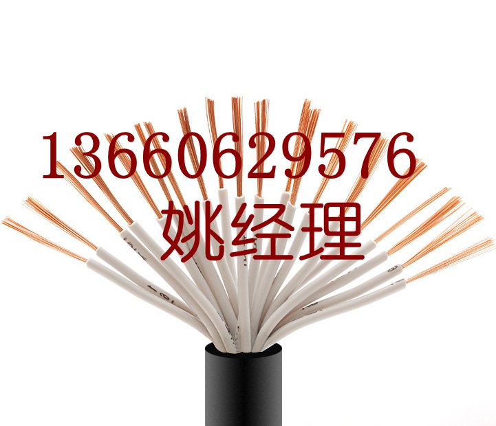永壹_珠江电缆_电线电缆
